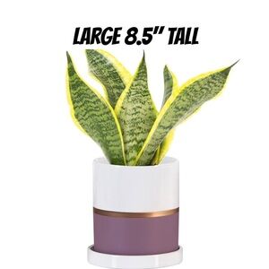 Ekirlin 8" H Plant Pot Ceramic Flower Planter w/Drain Hole Saucer, NEW, Purple